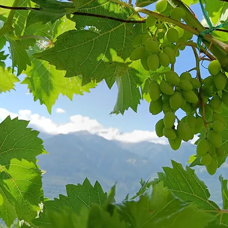 Bed and breakfast Palazzo Juvalta *