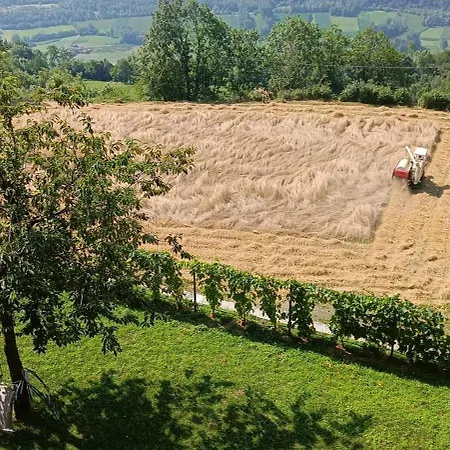 Bed & Breakfast Palazzo Juvalta *